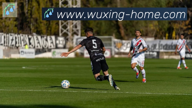 五星体育发展历程